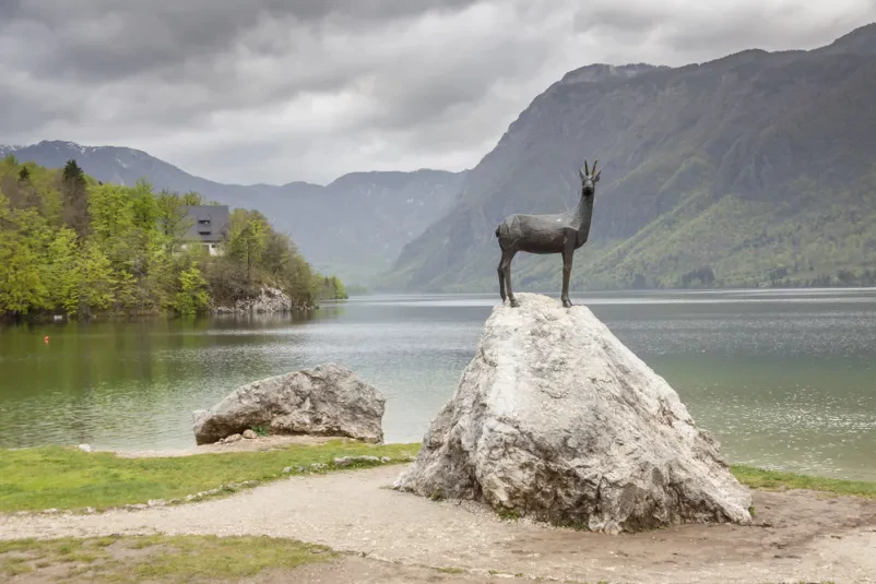 Najem manjšega apartmaja Bohinjska bela
