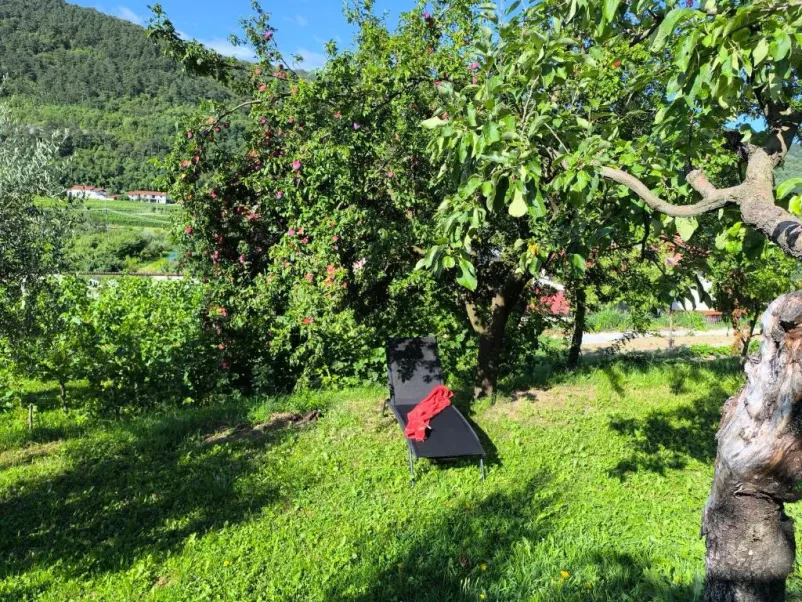 Apartment to rent Branik