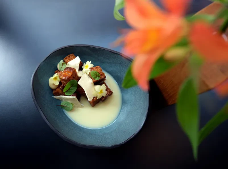 Best fine dining in Ljubljana centre