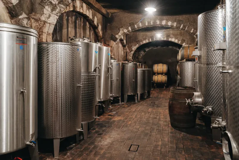 Degustacija vin Sežana, Kras