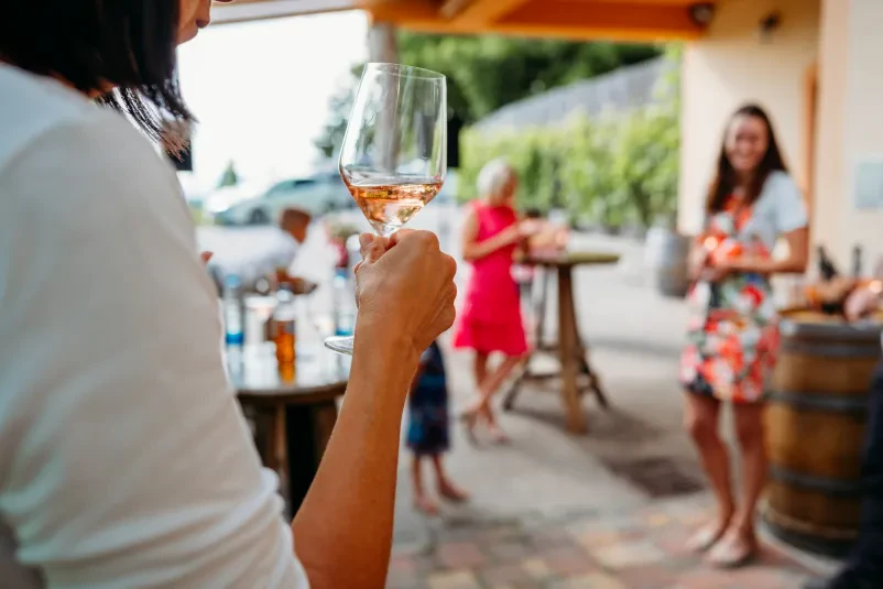Degustacije vin Dolenjska