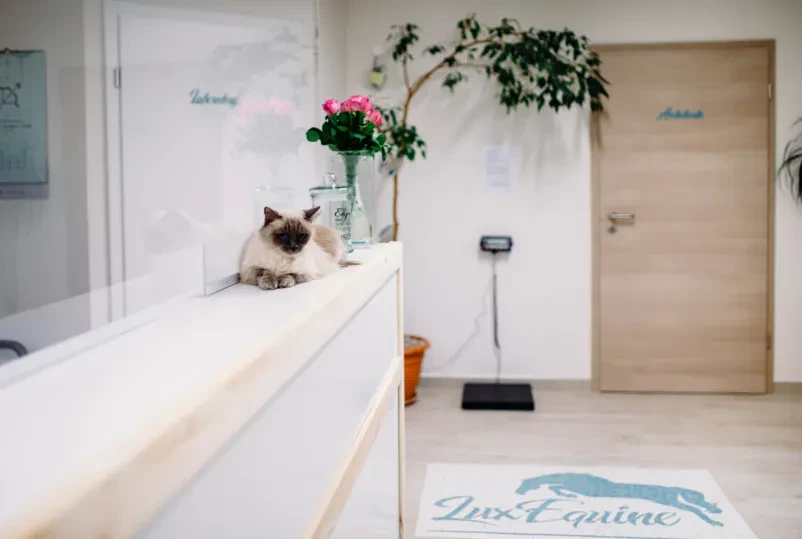 Nujna veterinarska pomoč Osrednja Slovenija