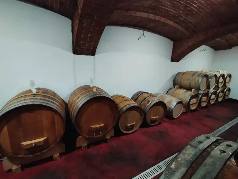 Dostava vrhunskih belih in rdečih vin po Sloveniji