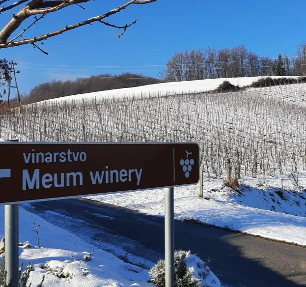 Dostava belega in rdečega butičnega vina Slovenija