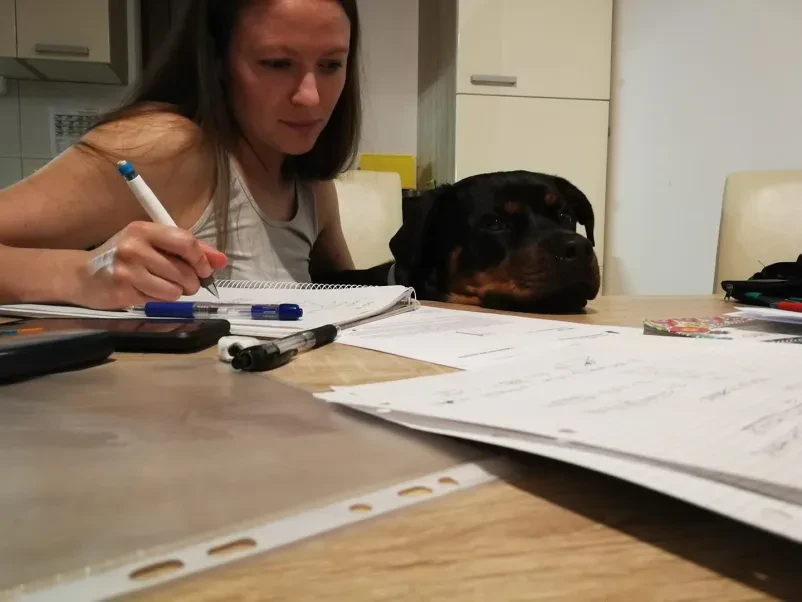 Inštrukcije matematike Krško