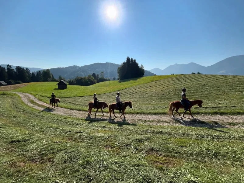 Jahanje islandskih konj Gorenjska