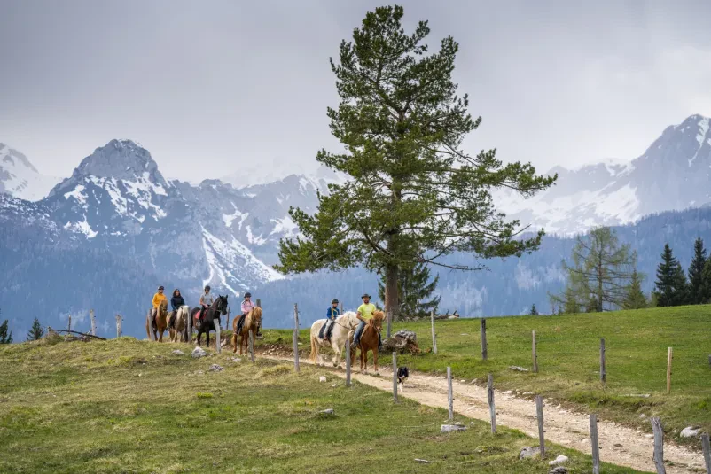 Terenski izleti s konji Bohinj
