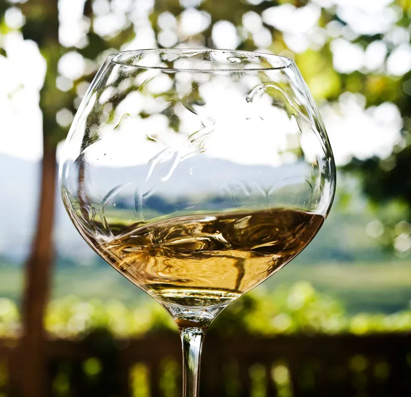 Vinska degustacija na turistični kmetiji Goriška Brda