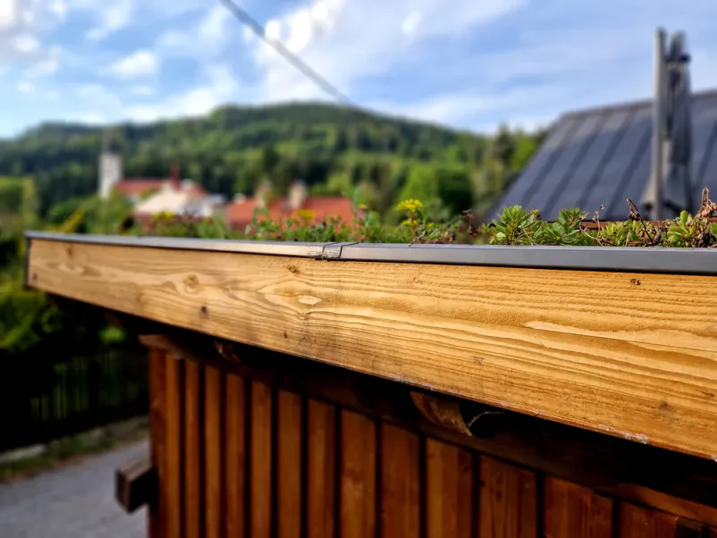 Leseni stropi in notranje stene Duplje