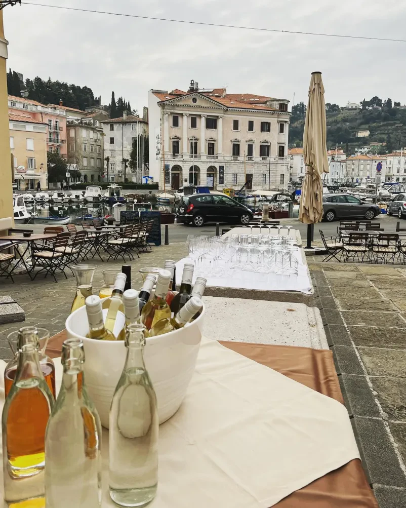 Morske in vegi jedi Piran