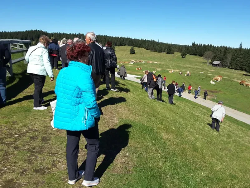 Vpis v društvo upokojencev Moravske Toplice