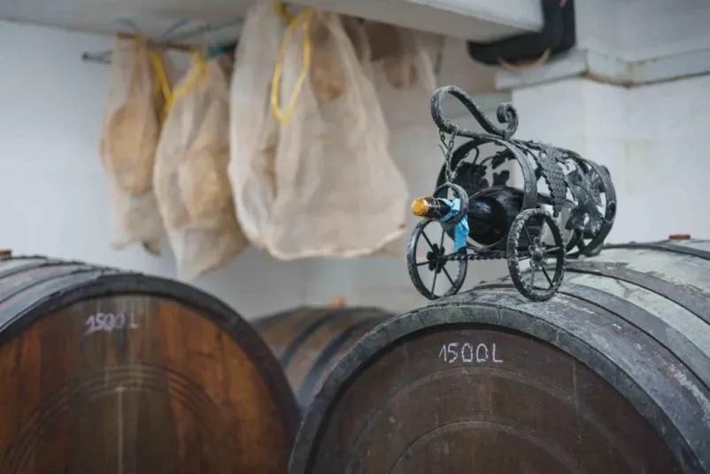 Doživetja v Vipavski dolini, obiščite vinsko klet in vinograd