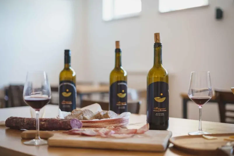 Vipavska dolina vabi ljubitelje vina na ogled vinske kleti in vinogradov