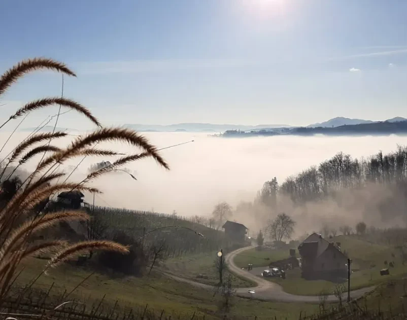 Turistična kmetija z nastanitvijo Podčetrtek