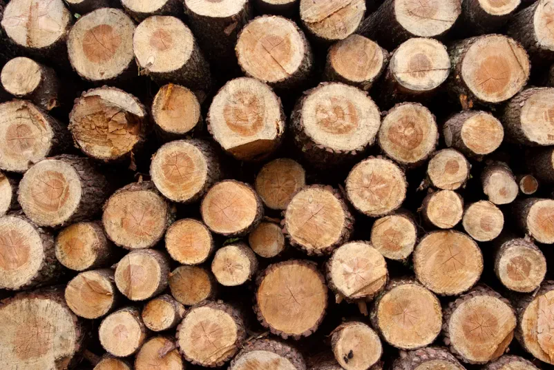 Odkup hlodovine Gorenjska
