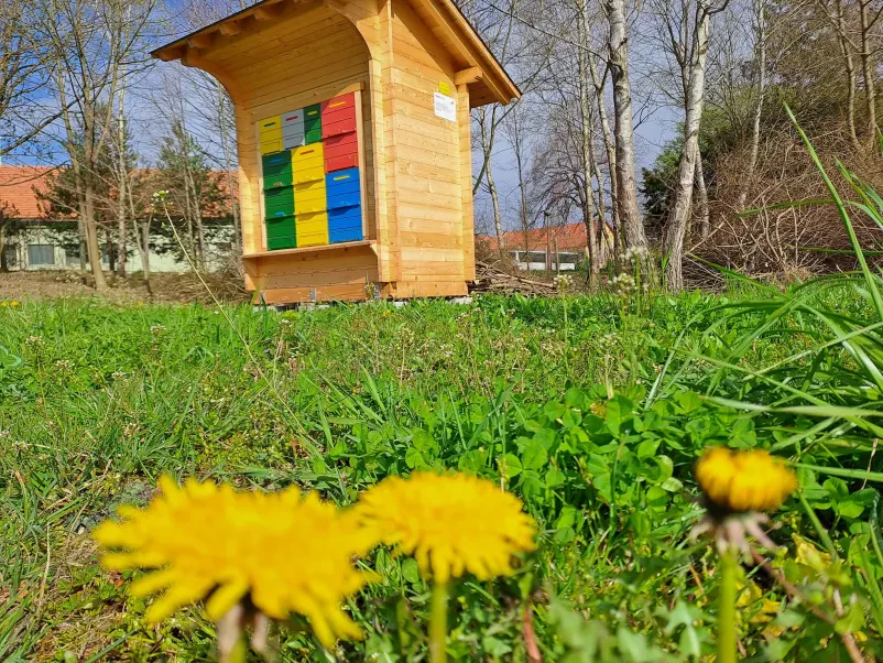 Učni čebelnjak Rače