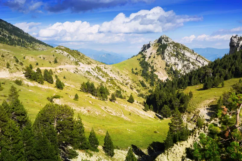 Ugodna izletniška okrepčevalnica Zgornja Savinjska dolina