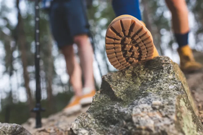 Wholesale supply of outdoor equipment for retail partners in Slovenia