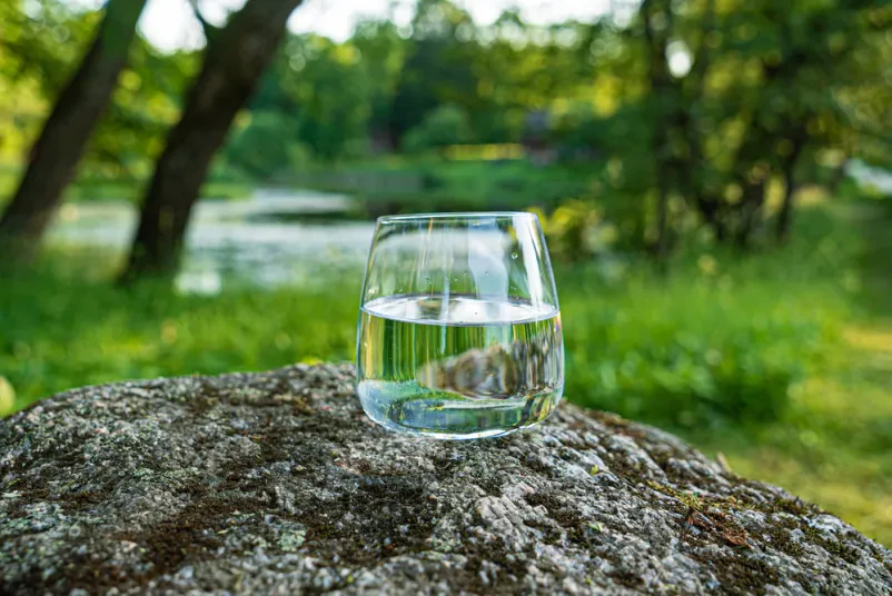 Ustekleničena naravna mineralna voda Slovenija