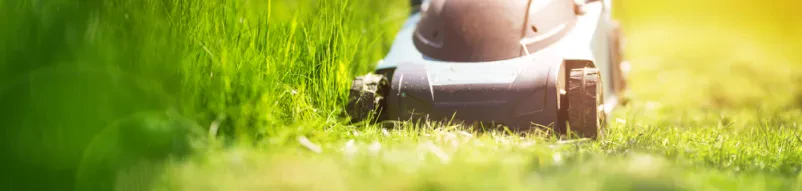 Prodaja motornih kosilnic Stihl Slovenija
