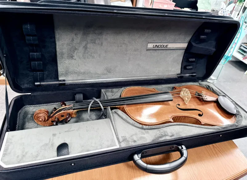 Prodaja violin Domžale, Ljubljana, okolica, Osrednja Slovenija