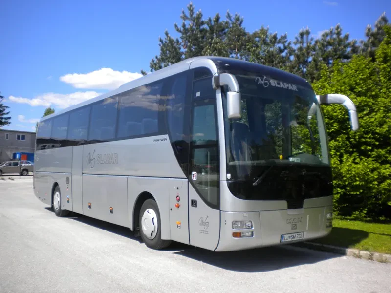 Šolski avtobusni prevozi Slovenija, tujina