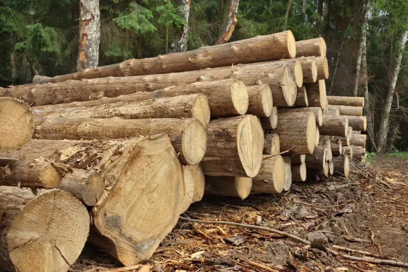Ugodno spravilo lesa Gorenjska