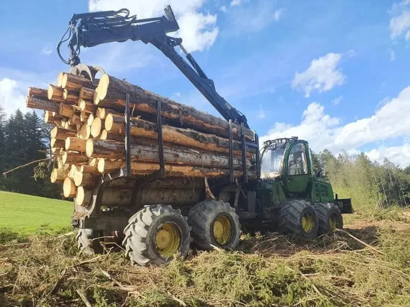 Spravilo lesa štajerska regija