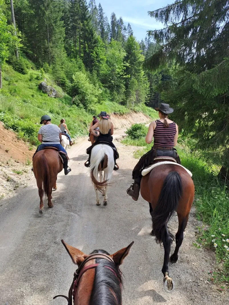 Terensko jahanje konj Koroška
