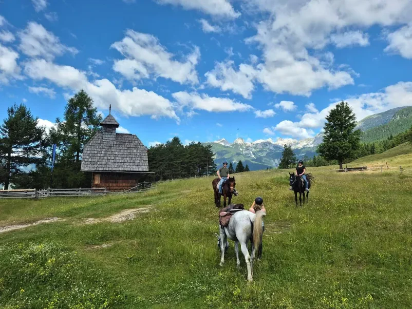 Horseback riding on field Gorenjska