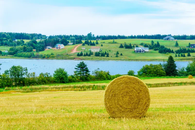 Izkušen ponudnik gumarskih izdelkov Slovenija