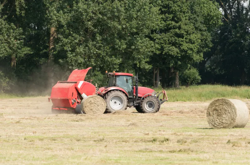Ugodni transportni trakovi za balirke Slovenija