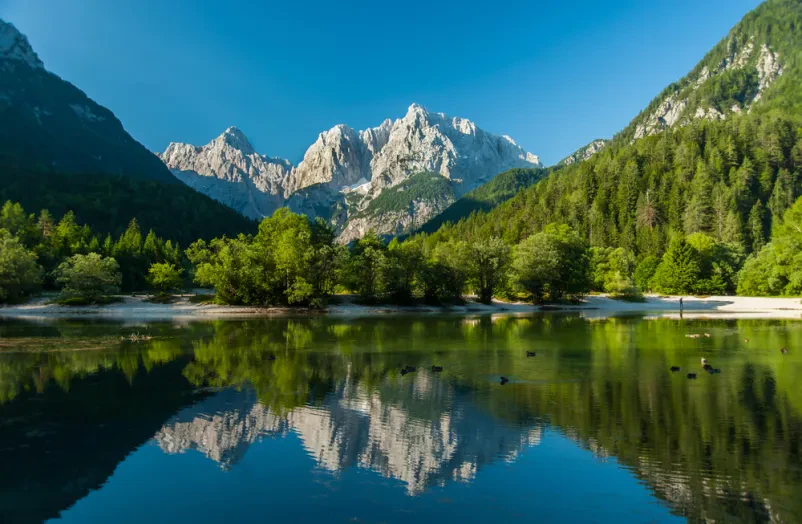 Slikovita lesena hiša v zasneženem gozdu Oddaja apartmaja Kranjska Gora