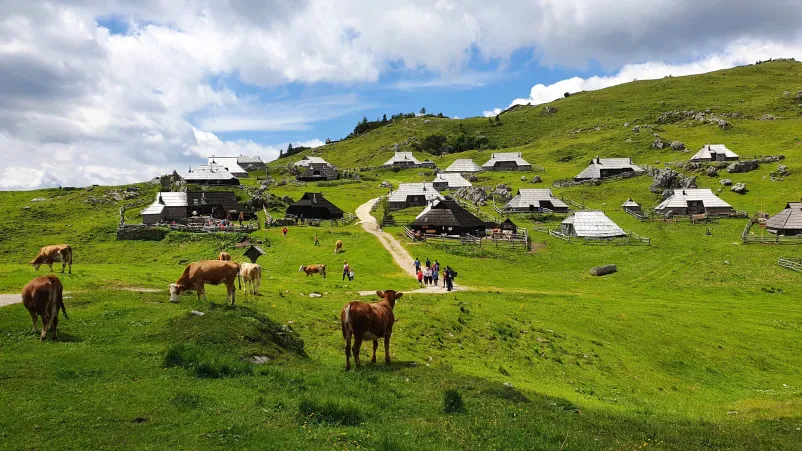 Najem gorske koče Velika planina