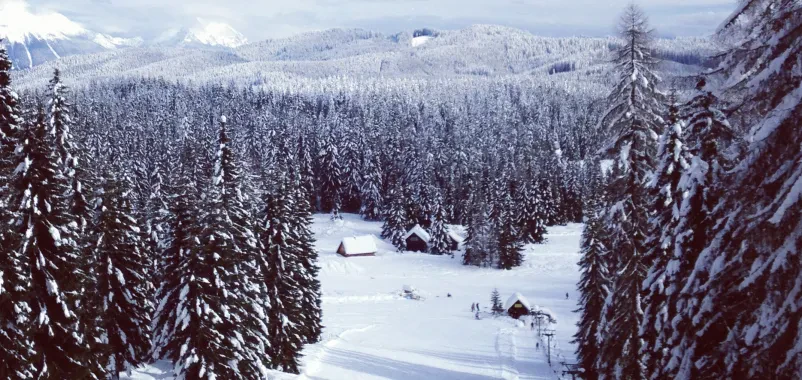Ugodna nočitev Pokljuka
