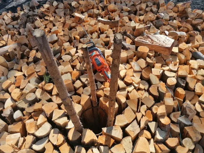 Ugodna sečnja in spravilo lesa v Zasavju