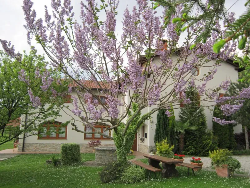 Ugodne sobe Šempas dobi pri nas