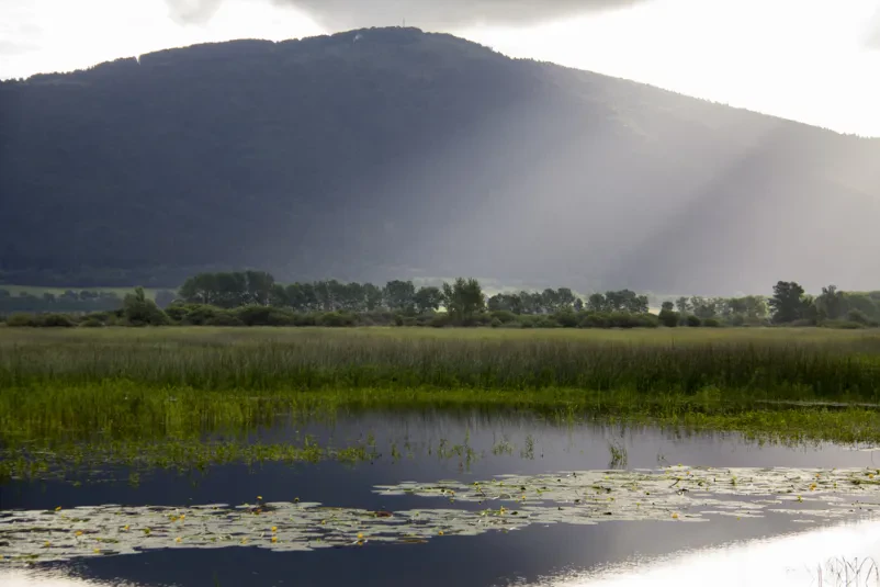 Pogled na Cerkniško jezero