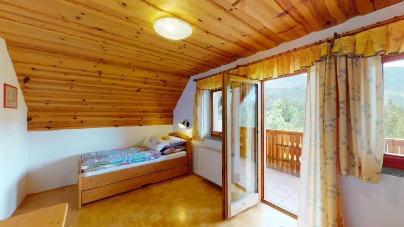 Apartmaji Logarska dolina