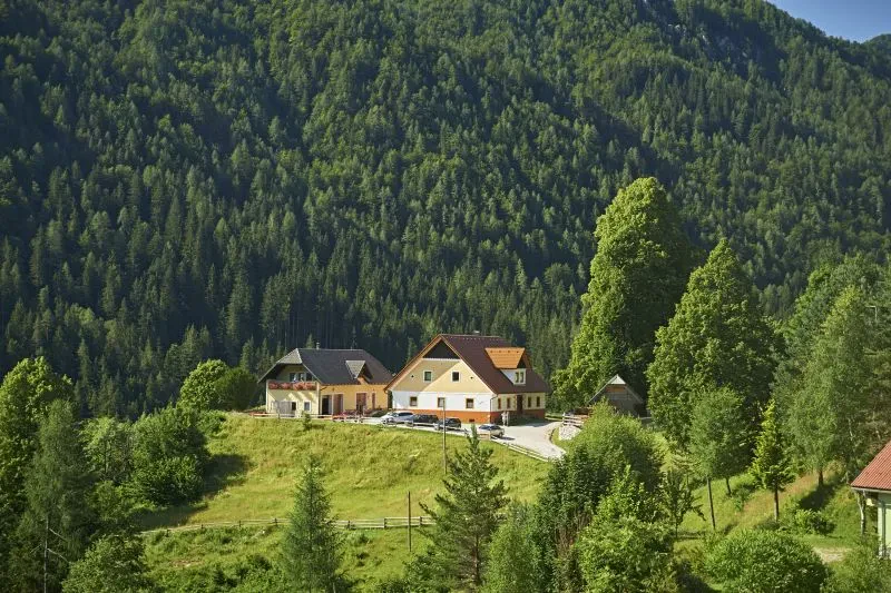 Poceni apartmaji Logarska dolina