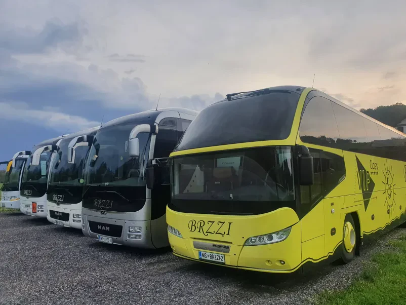 Turistični prevozi Slovenija, tujina