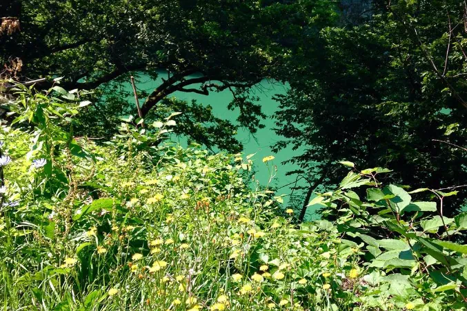 Poceni kamp Ljubljana 