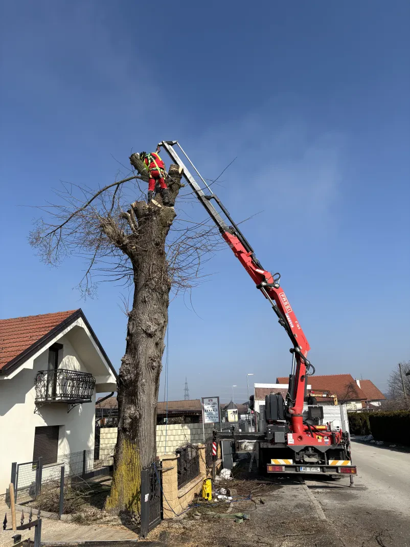 Vzdrževanje dostopov do gozdnih zemljišč Starše