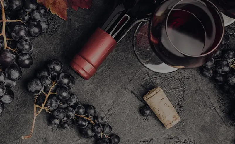 Vinska klet in degustacije vin Bohinj