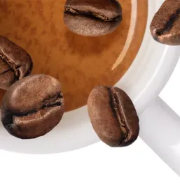 Illy trgovina BTC