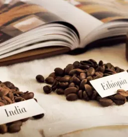 Kava Illy Slovenija