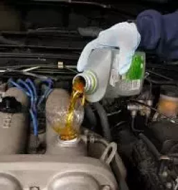 servis obala