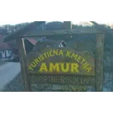 TURISTIČNA KMETIJA AMUR