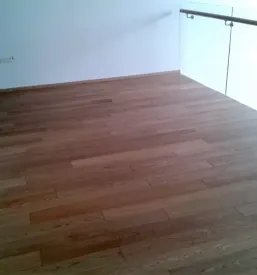 Adaptacije stanovanj Primorska