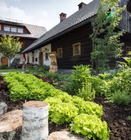 Apartmaji v Bohinju
